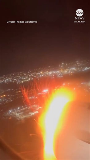 1.6M views · 8.1K reactions | Dramatic video shows the moment a bird...