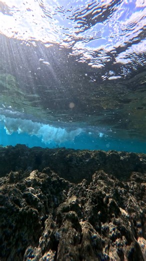 31K views · 1K reactions | Swimming below the crashing waves! #ocean #underwater #waves #crashingwaves | Dgphotography | Facebook