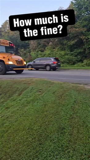 School Bus Law Explained