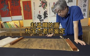 赵孟頫字画鉴定杨宝杰老师讲解