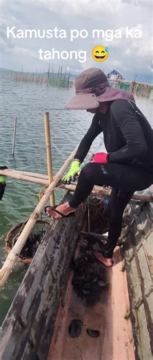 Mussels Harvesting Tips for Seafood Lovers