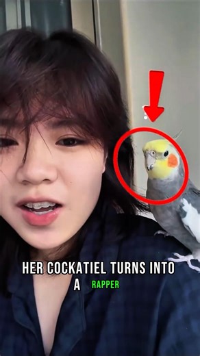 Pet Cockatiel Reacts to Beatbox in the Funniest Way #shorts #viral #short