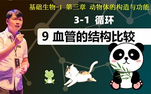 基础生物学3-1.9 血管的结构比较_哔哩哔哩_bilibili