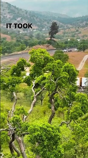This Mind Blowing Railroad Loop Has Been Running Since 1876!