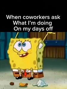 2.4K views · 13 reactions | Always 藍 | Funny Work Memes | Facebook