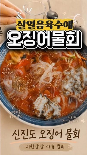살얼음 동동 오징어물회-신진항 맛집#등대횟집