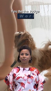 Workers’ Comp at Home? Tripped Over Dog on Zoom Call #workerscomp #workfromhome #trippedondog #youbethejudge | Shane Smith Law