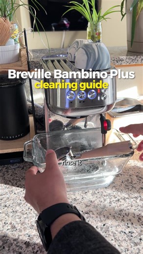 Ultimate guide on how to perform a cleaning cycle on the Breville Bamb... | breville bambino