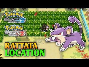How To Catch Rattata In Pokemon Black 2 & White 2 | Unova Pokedex