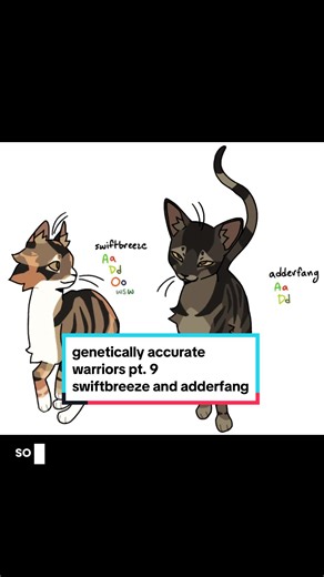 Is Swiftbreeze Named After a Bird or Speed?