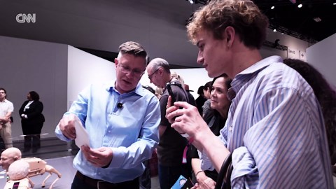 See robotic dogs with human heads causing a scene at Miami art fair