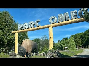 Exploring Parc Omega: A Wildlife Adventure in Quebec!