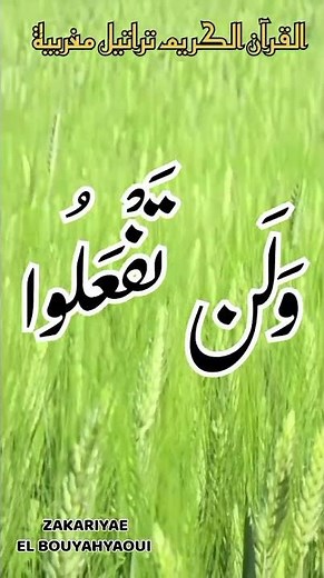 #38سورة البقرة بصوت مغربي شجي 🇲🇦 | Récitation Apaisante
