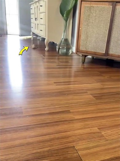 She Found a Genius Way to Stop Roaches 🪳