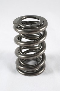 PAC Racing Springs PAC-1916 PAC Racing Hot Rod Series Valve Springs | Summit Racing