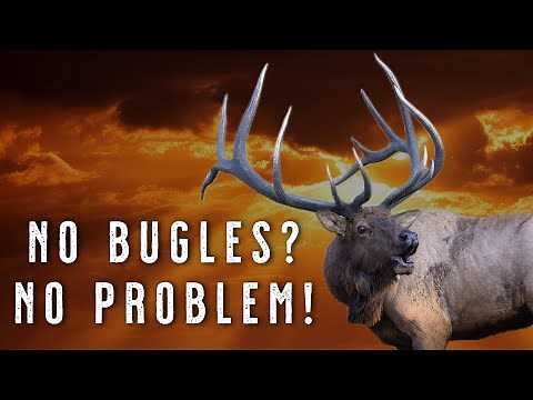 How to Hunt Elk Who Aren’t Bugling | Archery Elk Hunting Tactics