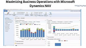 Maximizing Business Operations with Microsoft Dynamics NAV