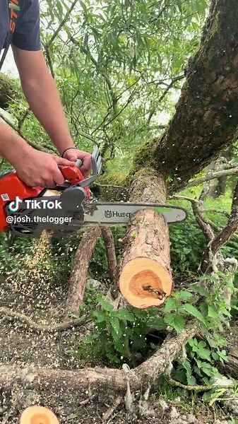 Husqvarna T540 XP Mark III: Power in Your Hands