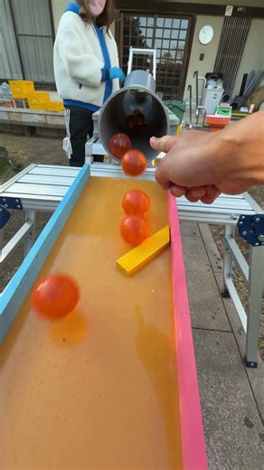 Marble Run ☆ Warm Spring Day Marble Run③