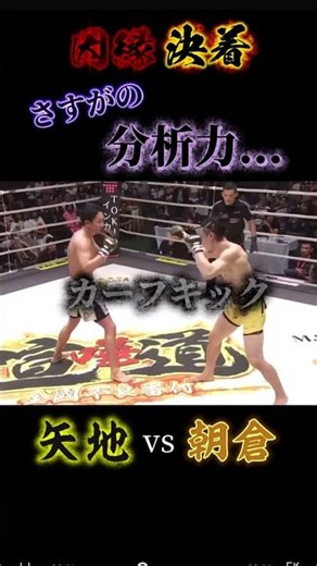 流石の分析力を見せる朝倉未来#格闘技 #朝倉未来 #矢地祐介