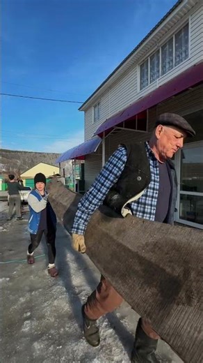 Woman slips while carrying log after posing for camera in Aydagulovo, Russia