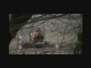 Tiger vs Crocodile, Tiger kills Crocodiles