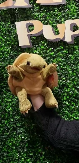 Folkmanis® Standing Tortoise Puppet Demo