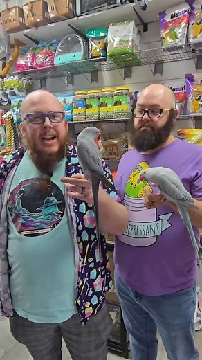 1.3K views · 108 reactions | Another successful adoption here at Paradise Parrot Rescue! Look how happy everyone is! We wish you all the best.and many years to come! If you are thinking about adoption, call us! 520-288-6310 #birds #foryoupage #pets #parrotsoftiktok #adoptdontshop #fyp | Paradise Parrot Rescue | Facebook