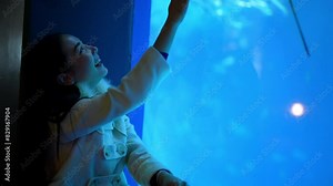 Happy Asian woman enjoy learning sea life in fish tank at Underwater Zoo Aquarium. Attractive girl touching large glass tank with aquatic animals shoal of fish and stingray during travel in Oceanarium