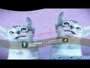 Numa cat v1 (Sponsored by csupo 2001 klasky effects) | IMAGINALEXISS