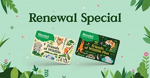 Membership Renewal | Mandai Wildlife Reserve