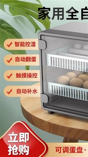 佳裕小鸡孵化器全自动家用小型孵蛋器智能鹦鹉孵化箱全自动孵化机 #家用孵蛋器 #全自动孵化器 #鹦鹉孵化机 #小鸡孵化器 #智能孵化箱