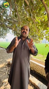 5.8K views · 216 reactions | najakat sahab ki special trali kamane wali Part 6 | Tractor Zone | Facebook