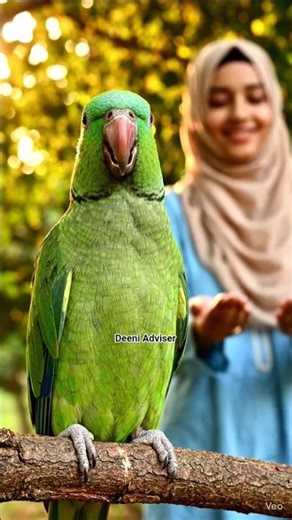 Cute Arrot Saying Allah Allah🕊️| #cutebird #islamicvideo