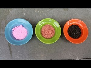 How and When to give fertilizer to your Adenium Plants