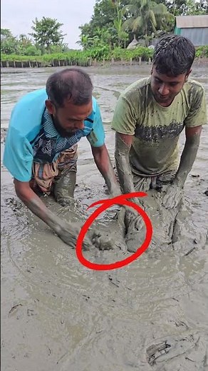 Boro fish 🐟 #fishing