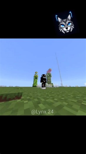 Football in Minecraft #lynx24#minecraft