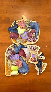 443K views · 2.6K reactions | What I feed my raw fed dogs for Halloween  #dogs #dogmom #dogfood #rawfeddog #dog #dogtreats #kibble #reels #asmr #halloween | Kayla Kowalski Nutrition | Facebook