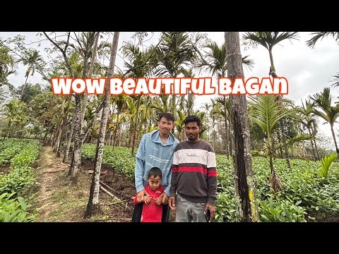 Wow beautiful Bagan🌱😍👌#pets #mising #vlog #reelsinstagram 