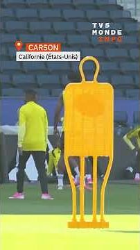 Les Léopards qualifiés.