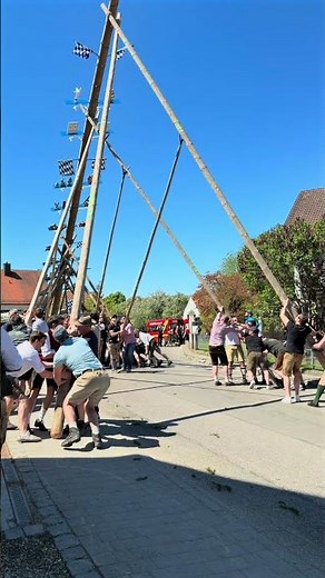 Maibaumaufstellen am 1. Mai.