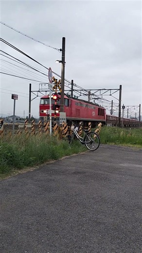東海道本線 西岐阜〜穂積 江崎道踏切 乙女坂行ホキ 2024年４月