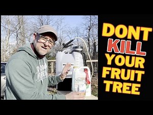 How to Spray your Fruit Trees Step By Step🌲