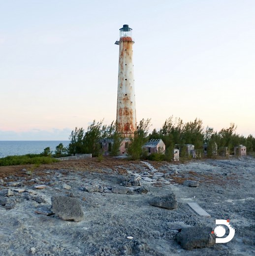 9.8K views · 147 reactions | Mark Rober and Noah Schnapp from Stranger Things team up for the ultimate #SharkWeek adventure -- exploring abandoned undersea ruins and manmade artificial reefs searching for the strangest sharks in the ocean while encountering scary and even haunted locations above sea level. Watch Stranger Sharks tonight at 7pm/6c on Discovery or stream on discovery+. | Travel Channel | Facebook