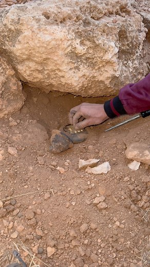 Ancient treasure middle buried #treasure #discovery #archaeological #adventure #treasurehunting #box # | Adventure treasures X