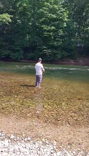 David Snodgrass on Reels