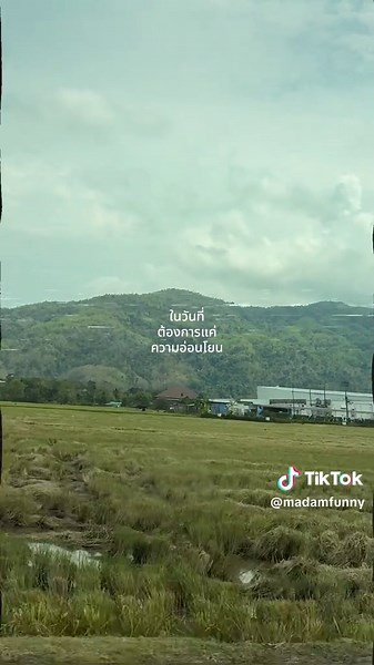 #madamfunny | funny tiktok videos