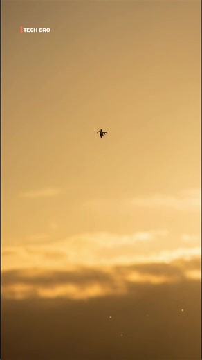 Creating Stunning Visuals with the Skyfall Trend