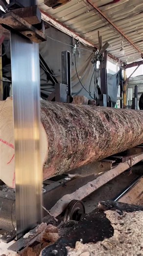 #woodworking #woodprocessing #wood #woodcutting