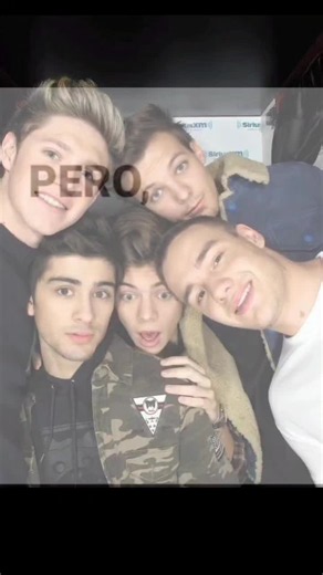 Te extraño mucho 1D — tributo y recuerdos de One Direction